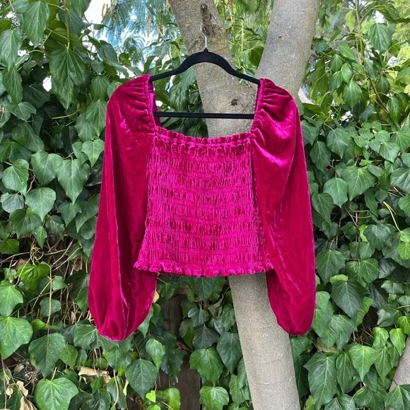 NWT Anthropologie velvet top - Picture 4 of 9
